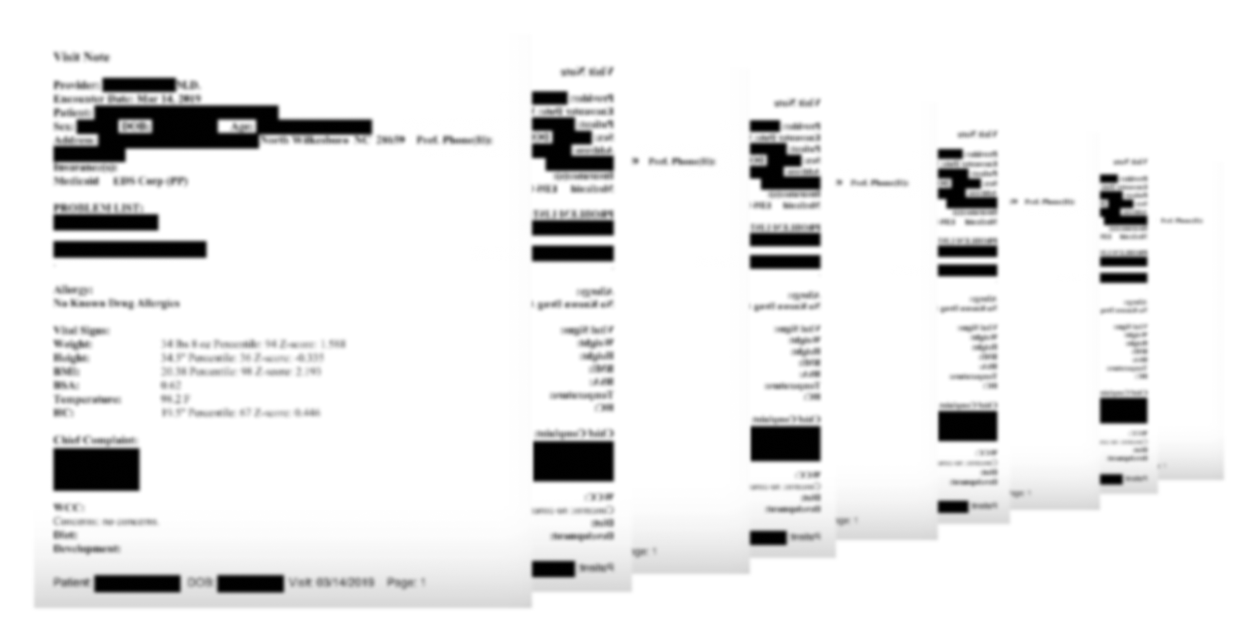 Blurred Sensitive Patient Data