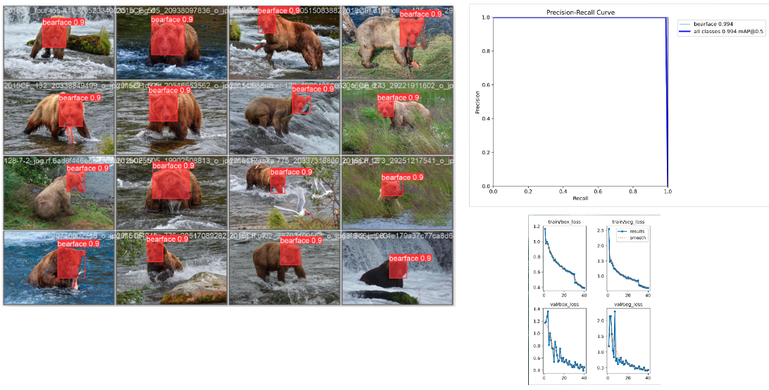 Results of a YOLOv8n-seg bear face segmentation model