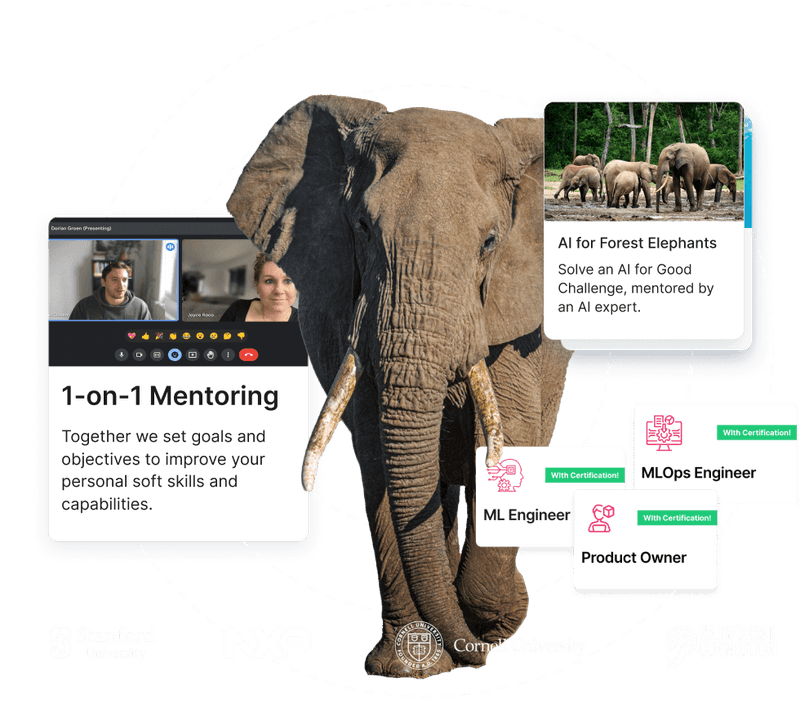 Fruitpunch AI is a peer-to-peer learning platform for AI. Train your AI skills by solving real world challenges, mentored by experts